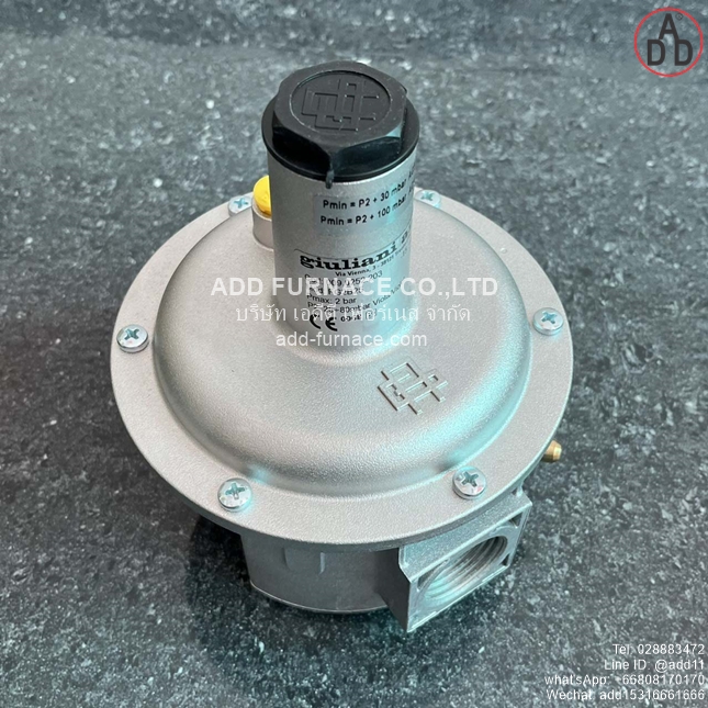 giuliani anello Mod:FG2B25 (12)